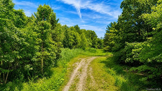 3 Deer Run West, Catskill, NY 12414