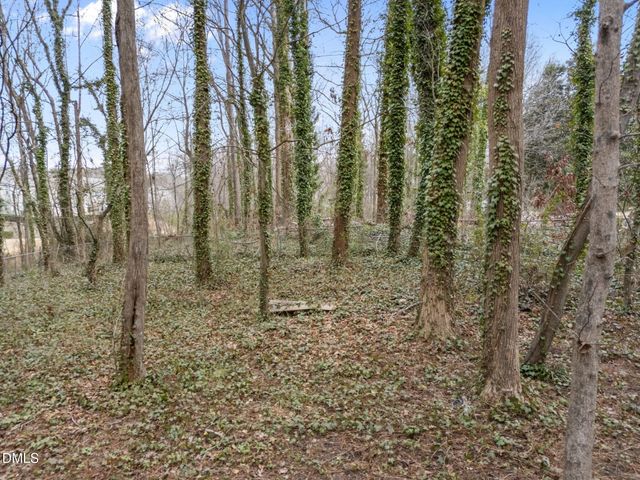 3508 Rigel Court, Raleigh, NC 27604