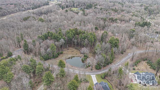 0 Pebble Lane, Fennville, MI 49408