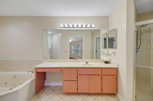 317 WOODLAND TRAIL, Lady Lake, FL 32159