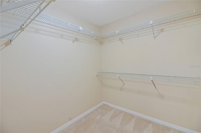 317 WOODLAND TRAIL, Lady Lake, FL 32159