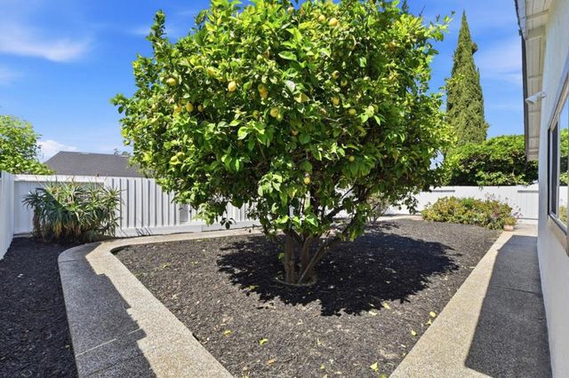 723 Anvil Court, San Jose, CA 95133