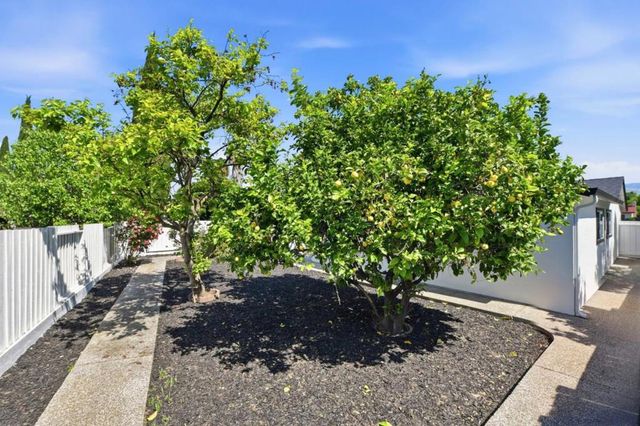 723 Anvil Court, San Jose, CA 95133