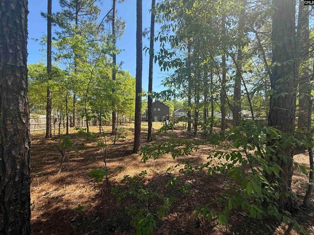 161 Graceland Court, Swansea, SC 29160