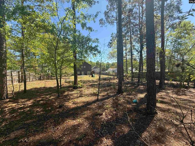 161 Graceland Court, Swansea, SC 29160