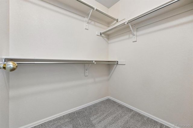 1528 Ebony Drive, Castle Rock, CO 80104