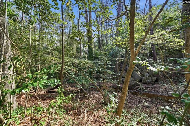 101 Stoney Brook Court, West Columbia, SC 29169