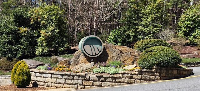 320 Foggy Cut Lane, Landrum, SC 29356