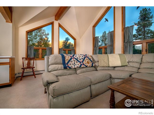 1997 Big Owl Road, Allenspark, CO 80510