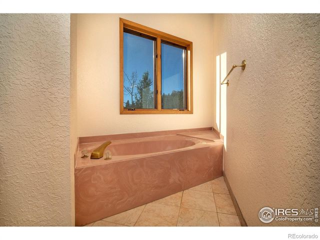 1997 Big Owl Road, Allenspark, CO 80510