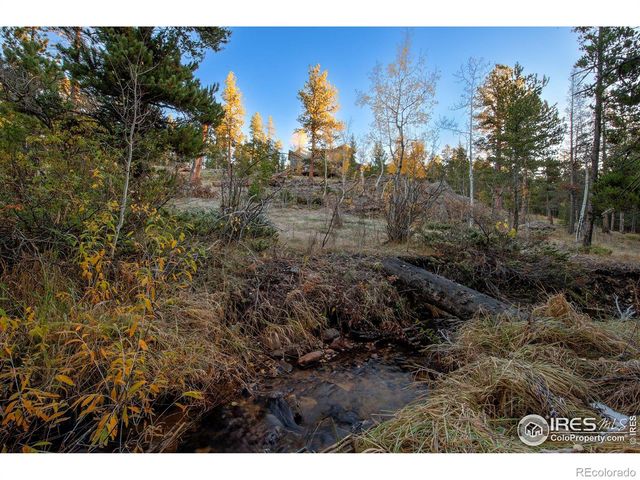 1997 Big Owl Road, Allenspark, CO 80510