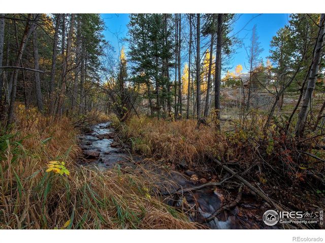 1997 Big Owl Road, Allenspark, CO 80510