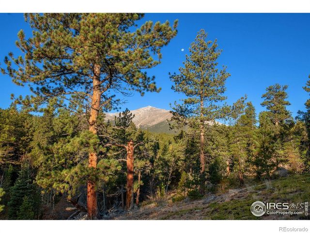 1997 Big Owl Road, Allenspark, CO 80510