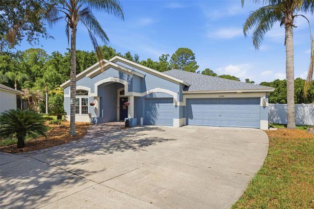 25540 RISEN STAR DRIVE, Wesley Chapel, FL 33544