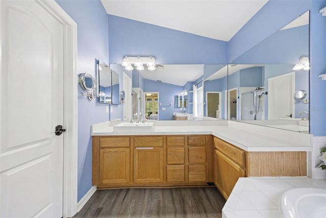 25540 RISEN STAR DRIVE, Wesley Chapel, FL 33544