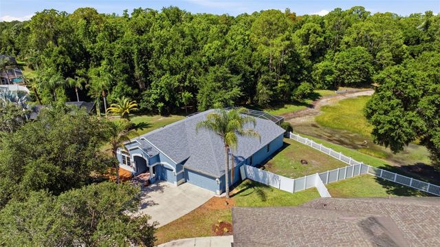 25540 RISEN STAR DRIVE, Wesley Chapel, FL 33544