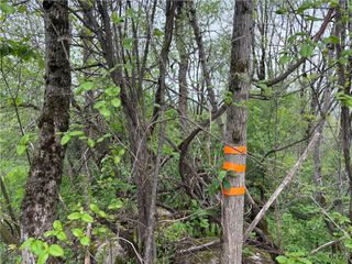 Sulphur Springs Rd Road, Norway, NY 13416