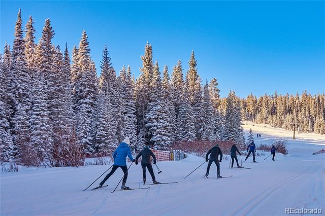 58 Doe Trail, Nederland, CO 80466