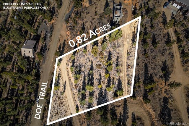 58 Doe Trail, Nederland, CO 80466