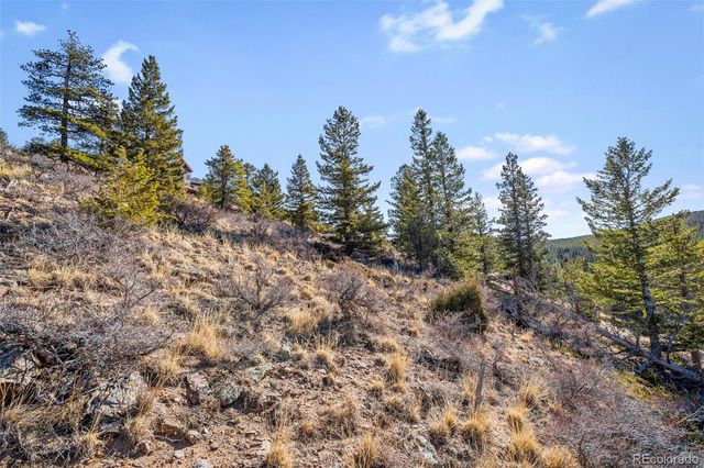 58 Doe Trail, Nederland, CO 80466