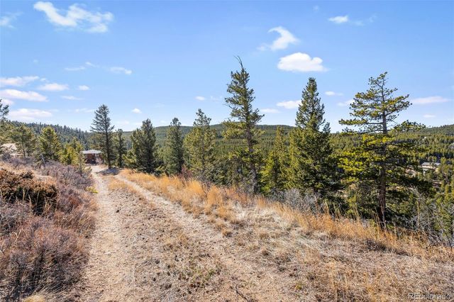 58 Doe Trail, Nederland, CO 80466