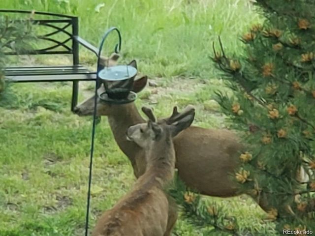 9323 Sori Ln, Highlands Ranch, CO 80126