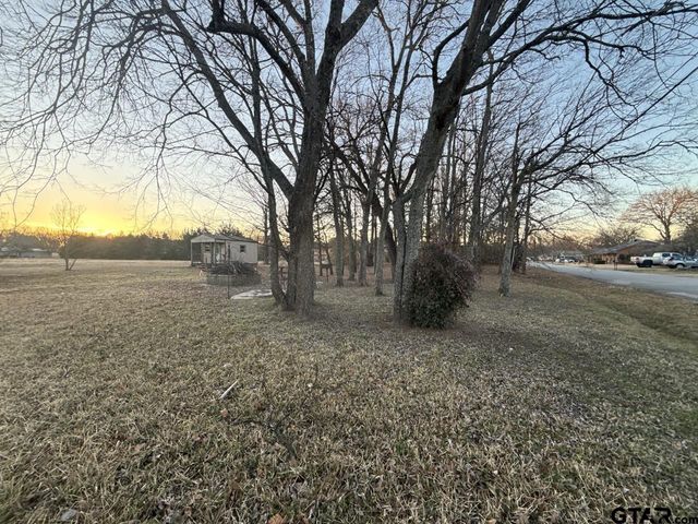 514 Chestnut, Van, TX 75790