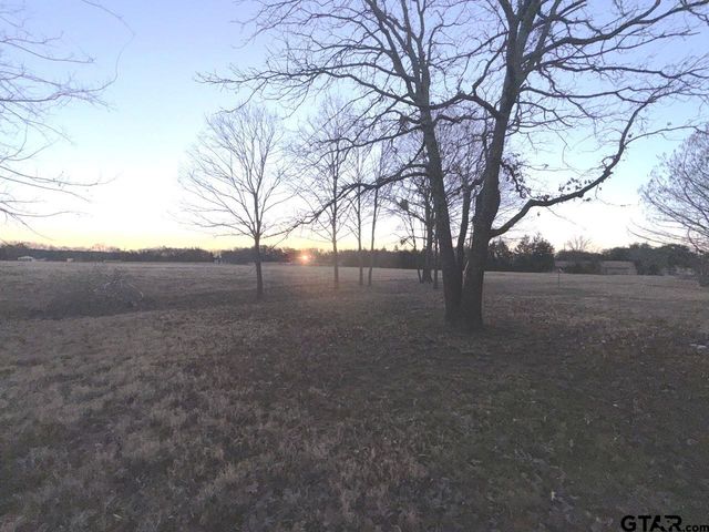 514 Chestnut, Van, TX 75790