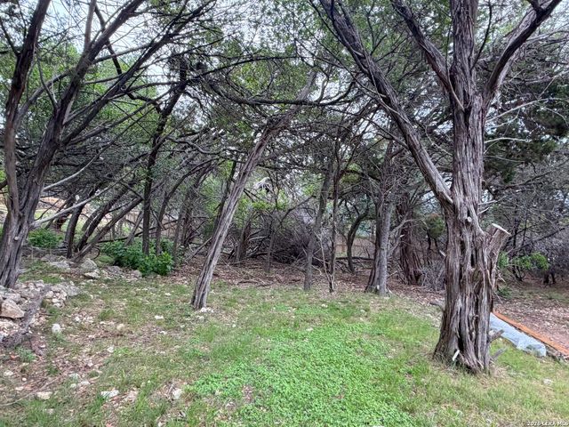1439 BONNYVIEW DR, Canyon Lake, TX 78133