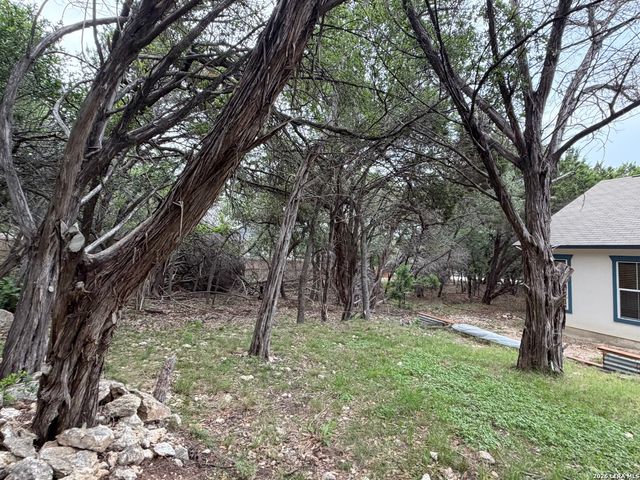 1439 BONNYVIEW DR, Canyon Lake, TX 78133