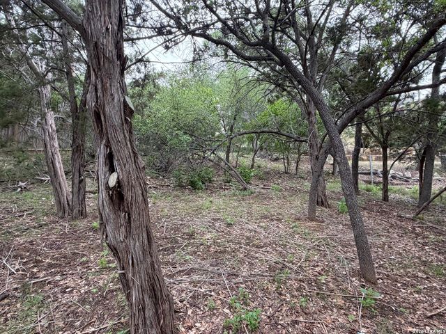 1439 BONNYVIEW DR, Canyon Lake, TX 78133