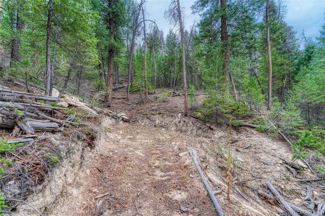 33864 Bergen View Trail, Evergreen, CO 80439