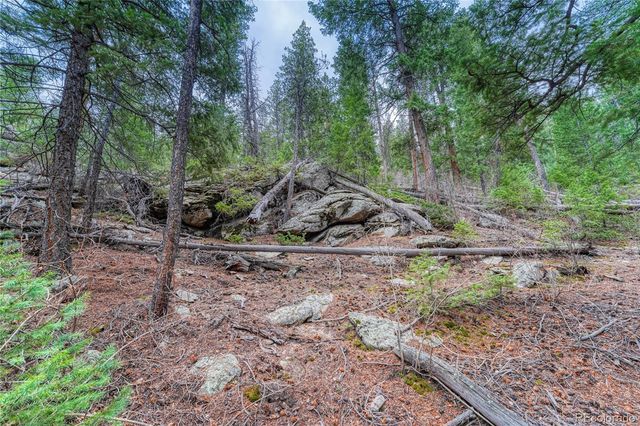 33864 Bergen View Trail, Evergreen, CO 80439