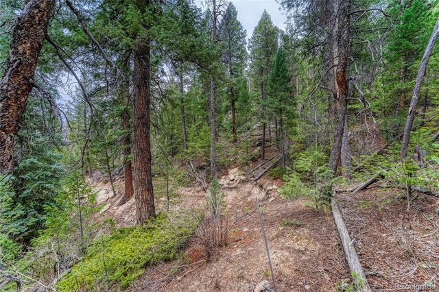 33864 Bergen View Trail, Evergreen, CO 80439