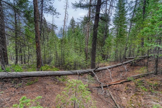 33864 Bergen View Trail, Evergreen, CO 80439