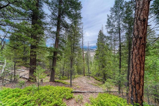 33864 Bergen View Trail, Evergreen, CO 80439