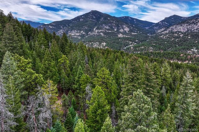 33864 Bergen View Trail, Evergreen, CO 80439