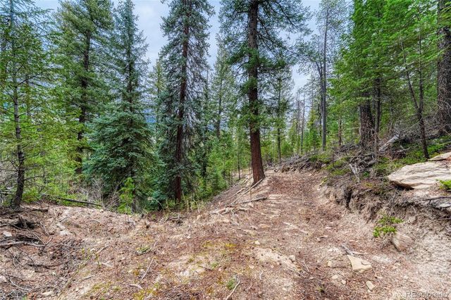 33864 Bergen View Trail, Evergreen, CO 80439