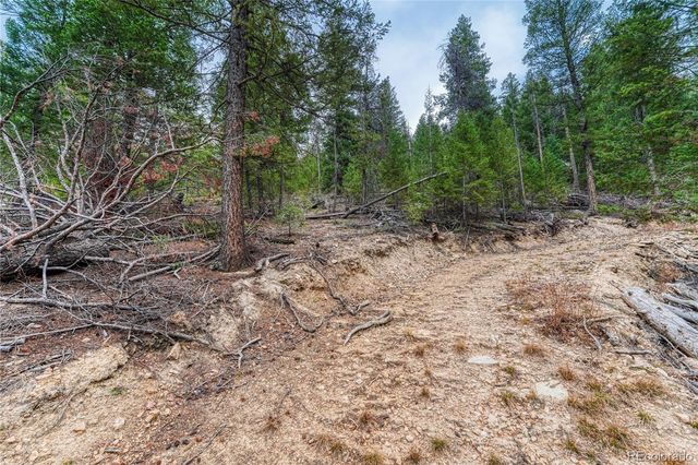 33864 Bergen View Trail, Evergreen, CO 80439