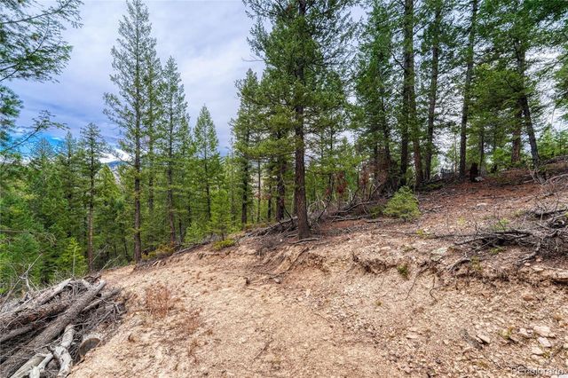 33864 Bergen View Trail, Evergreen, CO 80439