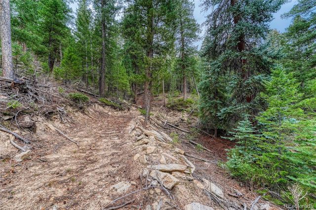 33864 Bergen View Trail, Evergreen, CO 80439