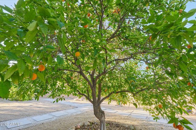 14839 N ALAMOSA Circle, Fountain Hills, AZ 85268