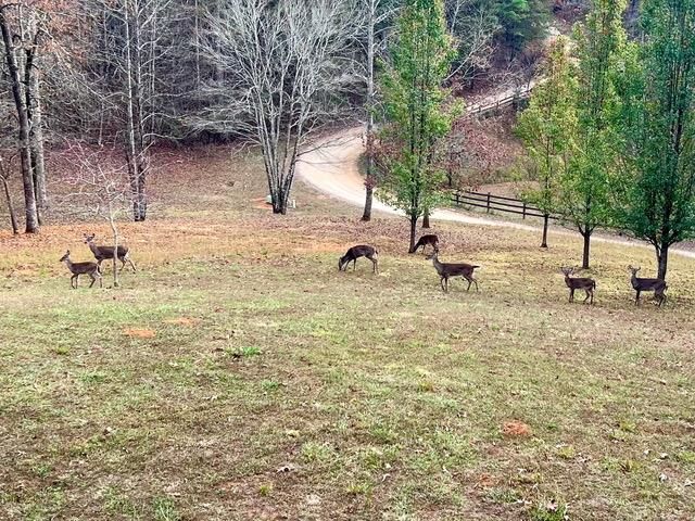 34 Smokey Ridge Lane, Morganton, GA 30560