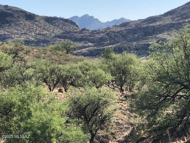 TBD Salero Canyon Road # 122, Tubac, AZ 85646