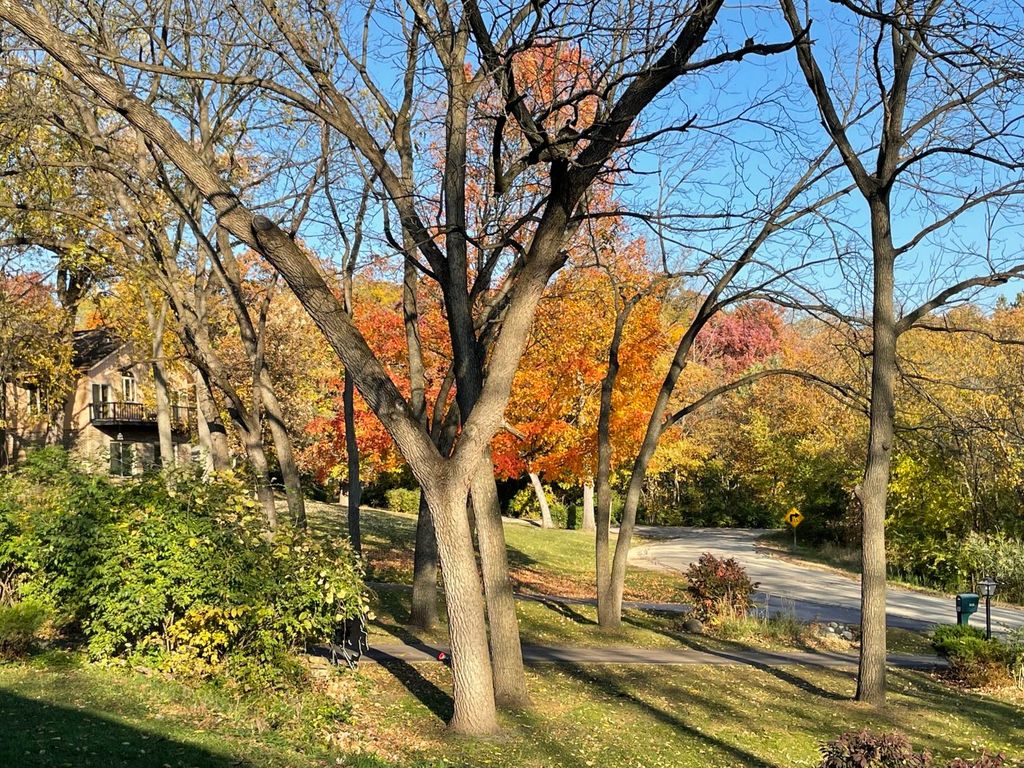 Image 37 of property listing at 1126 Crane Drive, Sleepy Hollow, IL 60118