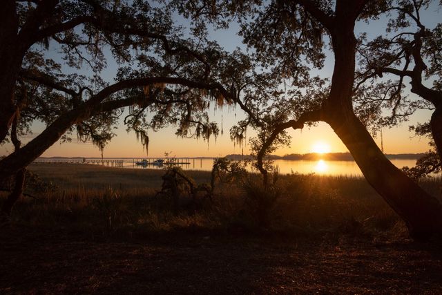 124 Fairbanks Oak Alley 4b, Daniel Island, SC 29492