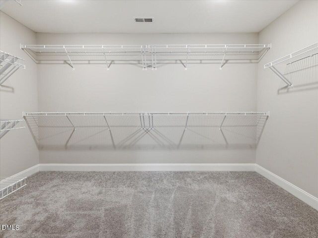 392 Ashpole Trail, Clayton, NC 27520