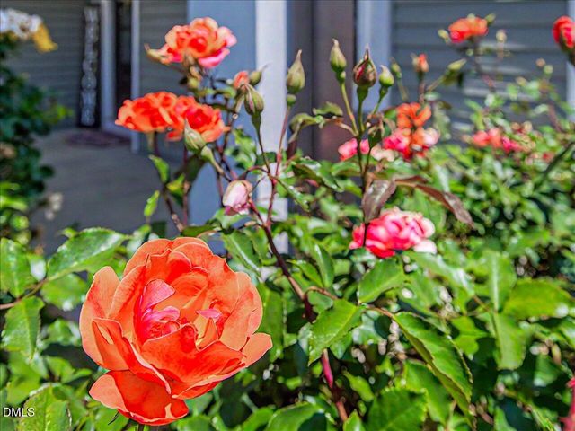 392 Ashpole Trail, Clayton, NC 27520