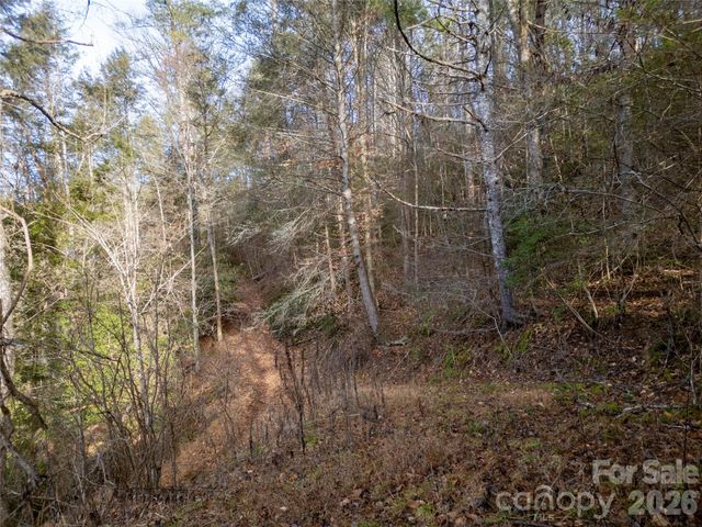 1573 Revere Road, Marshall, NC 28753