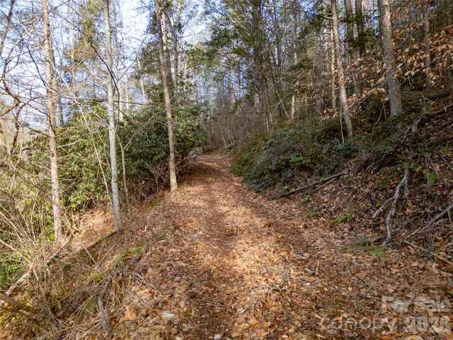 1573 Revere Road, Marshall, NC 28753